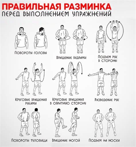 Упражнения на спину в домашних условиях для девушек с гантелями ...