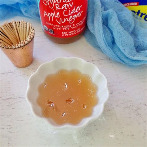 Homemade Fruit Fly Trap (Gnat Trap) • The Fresh Cooky