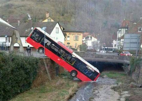 Photo: Wild Bus Drinking Water From River