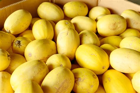 How to Cut Spaghetti Squash - Parade