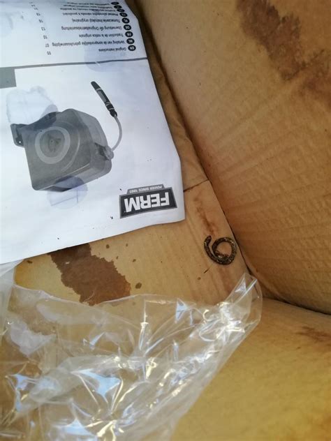 identification animal crotte