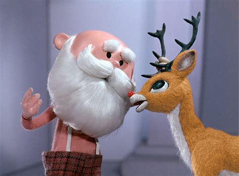 Reindeer