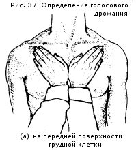 голосовое дрожание