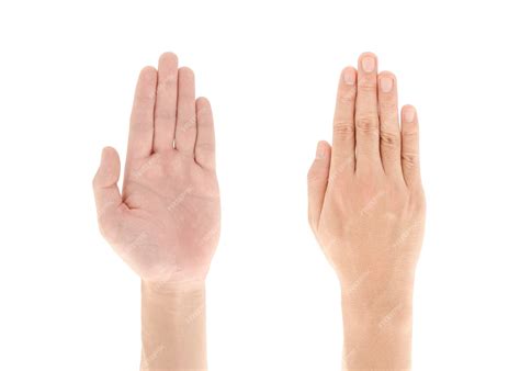 Premium Photo | Asian hand with Five fingers up or Touch hand gesture ...