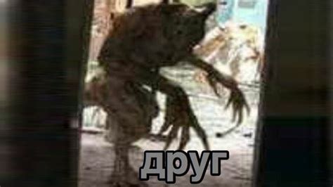 друг | Know Your Meme