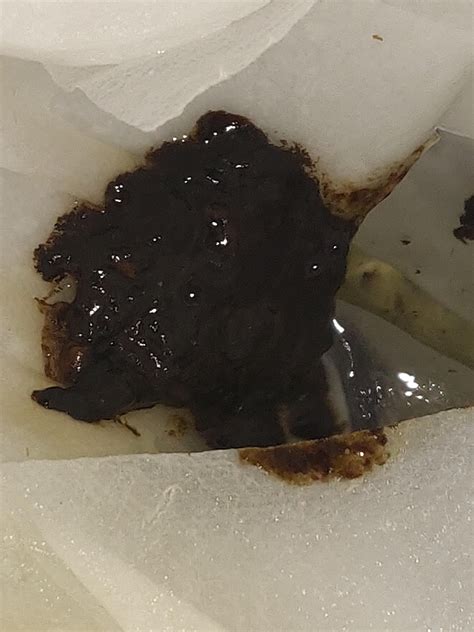 Rabbit Black Poop