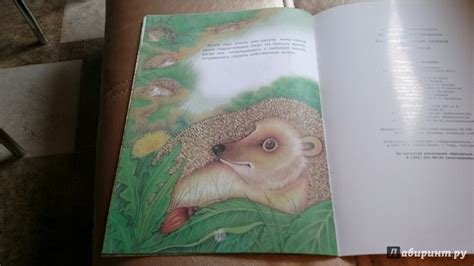 Книга: Познавательные сказки: Мама-ежиха - Лариса Тарасенко. Купить ...