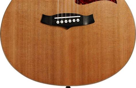 Tanglewood TW45 RE (Pre-Owned) | guitarguitar