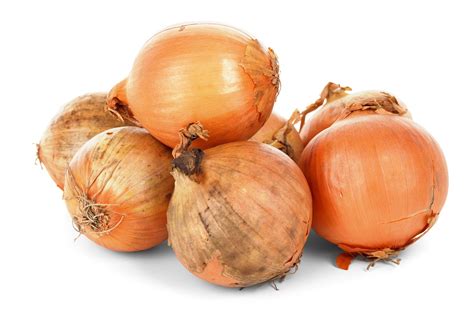 onion vegetables images pixabay