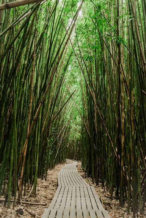 My Bisexual Foursome in the Biker Bar | by Dee Per | EroticaStories