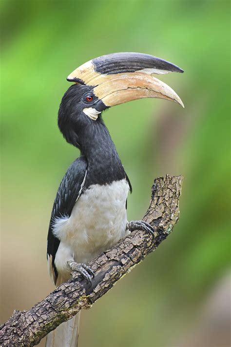 Big+Tit+Selfies Photos, Download The BEST Free Big+Tit+Selfies Stock