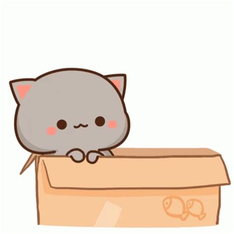 peachcat  gif peachcat   discover share gifs cute cat