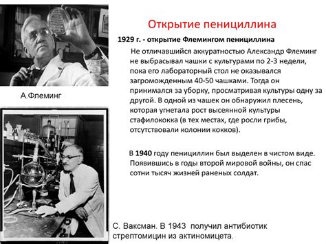 Антибиотики. Классификация антибиотиков - презентация онлайн