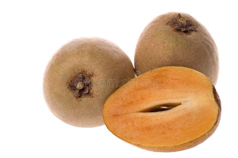 tropical ciku fruits stock image image  tropical nutrition