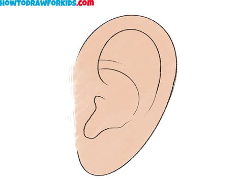 how to draw a simple ear
