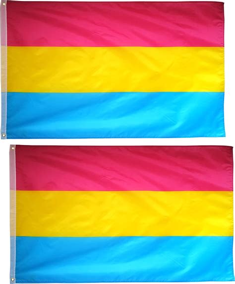 Amazon.com : 3x5ft LGBT Pansexuality Omnisexuality pride flag for wall