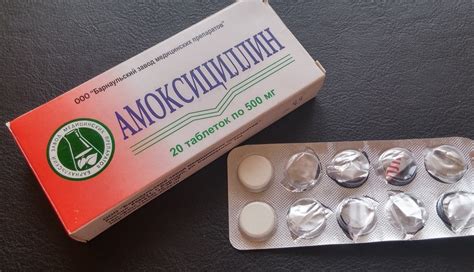 Амоксиклав и амоксициллин – что это такое и отличия - Премудрости