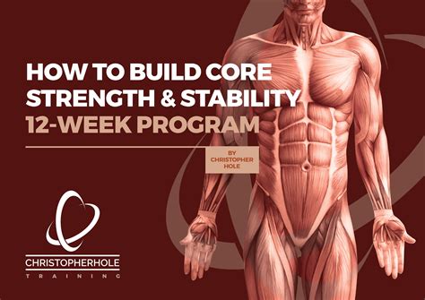 How to Build Core Strength & Stability | Core strength, Online exercise