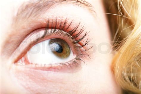 Eye | Stock image | Colourbox