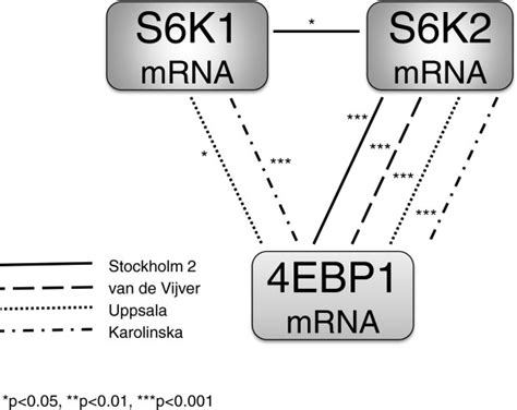 Associations between p70 ribosomal S6 kinase 1 and 2 and 4E-binding ... 