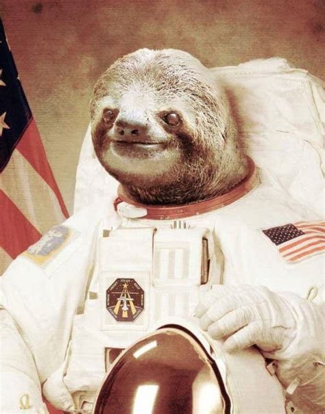 The 20 Best Pictures In The History Of The Internet According To Google