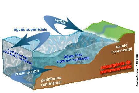 Movimento Ascendente Do Oceano - Movimento das águas - Canal CECIERJ