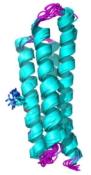 CABS-flex: server for fast simulation of protein structure fluctuations