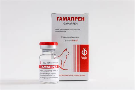 Противовирусный вет препарат Гамапрен: инструкция по применению - Вет ...