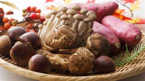 november  japan fall foliage  seasonal feasts