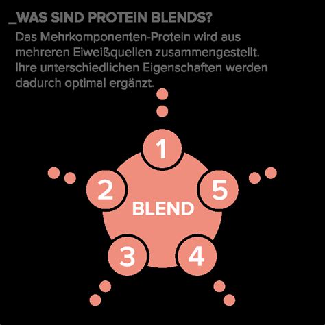 Mehrkomponenten Protein: Test & Erfahrungen (03/20) | Die besten Blends