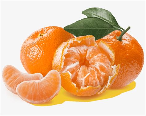 Mandarin Png Image - Мандарины Новый Год Png PNG Image | Transparent ...