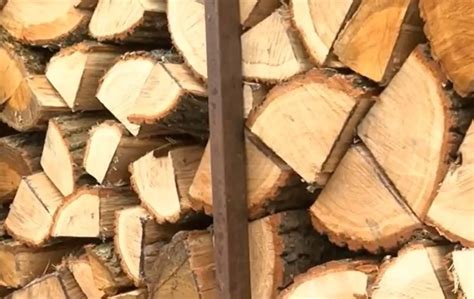 Україна накопичила понад 130 тис кубометрів дров для опалювального ...