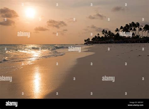 Manchebo beach on Aruba island at sunset in the Caribbean Stock Photo ...