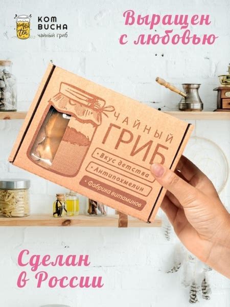 Чайный гриб КОМБУЧА. Живой чайный гриб - купить с доставкой по выгодным ...