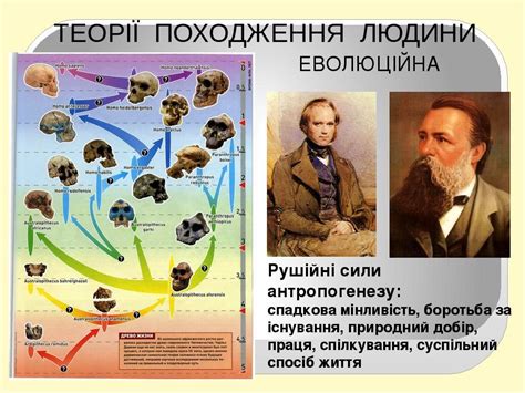 Еволюція