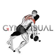 Dumbbell Incline T-Raise