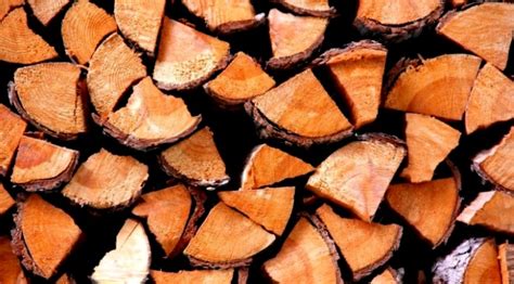 Выбираем лучшие дрова для бани