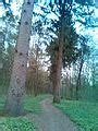 Category:Korsun Park - Wikimedia Commons
