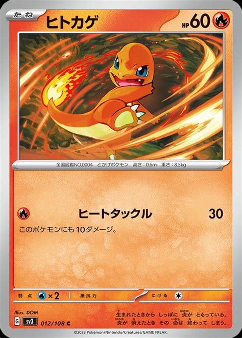 serebiinet tcg ruler   black flame  charmander