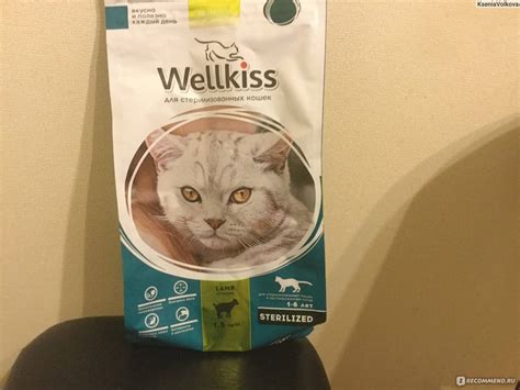 Корм для кошек Wellkiss (Вэлкисс) | состав, отзывы, цена