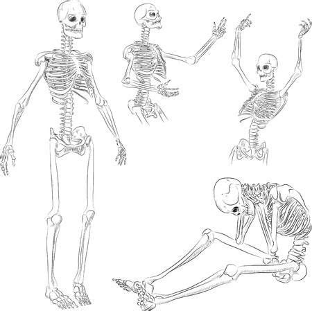 Human skeleton in different active poses sketch Rib Cage Drawing ...