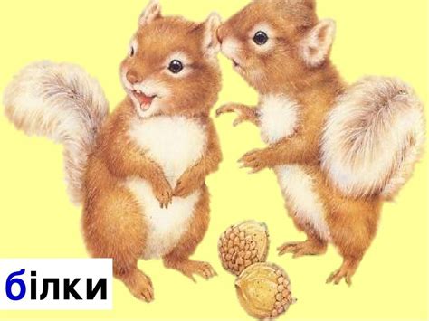 Презентація "Буква "Б" 1 клас НУШ | Презентація. НУШ