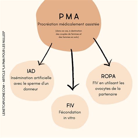 la pma pour les nulles explications  lexique
