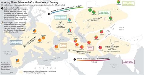 Ancient European Genetics: Lots of studies and useful infographics ...