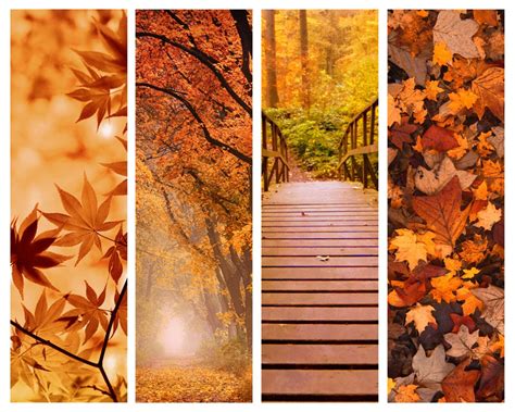 page    edit autumn photo collages canva