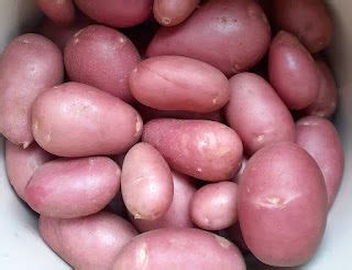 A Guide to Potato Varieties