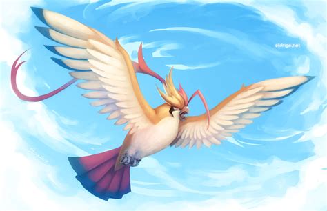 Mega Pidgeot by eldrige on DeviantArt