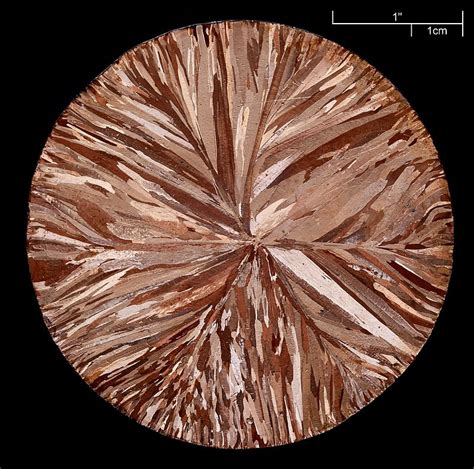 copper wikiquote