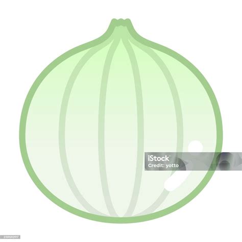 fresh onion isolated vector illustration stock illustration
