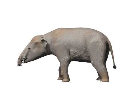 Prehistoric Elephants Everyone Should Know